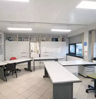 Foto annuncio 6