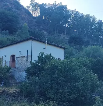 Foto annuncio 9