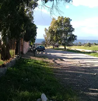 Foto annuncio 5