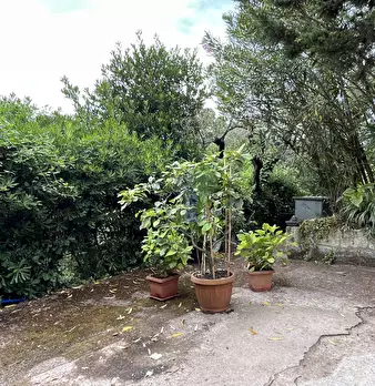 Foto annuncio 6