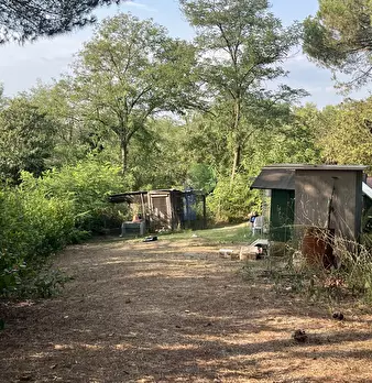 Foto annuncio 25