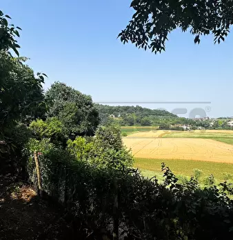 Foto annuncio 41