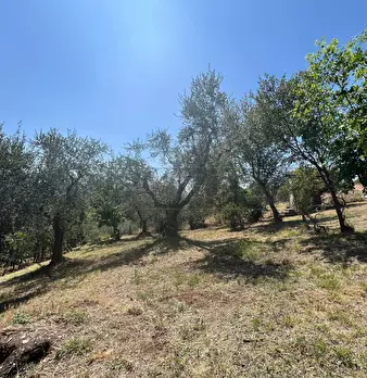 Foto annuncio 19