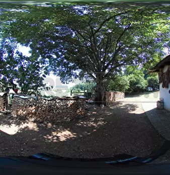 Foto annuncio 43