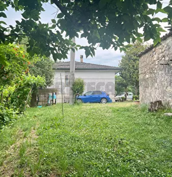 Foto annuncio 28