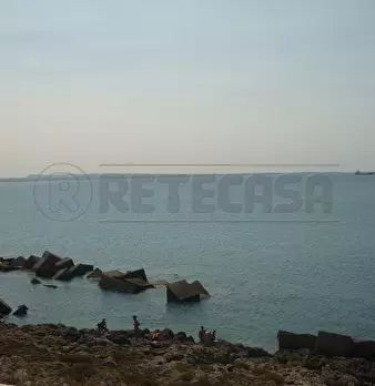 Foto annuncio 24