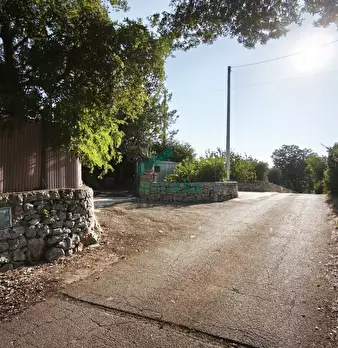 Foto annuncio 29