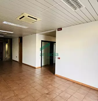 Foto annuncio 15