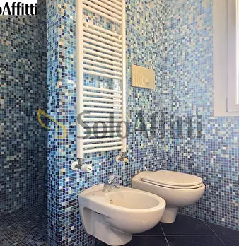 Foto annuncio 10