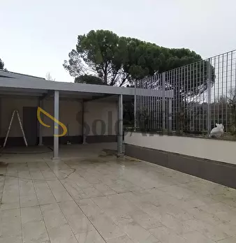 Foto annuncio 21