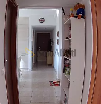 Foto annuncio 12
