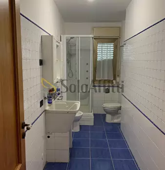 Foto annuncio 12