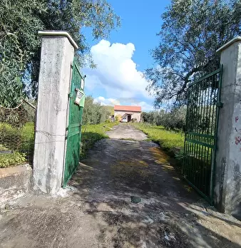 Foto annuncio 2