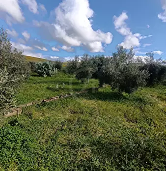 Foto annuncio 22