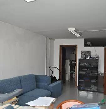 Foto annuncio 7
