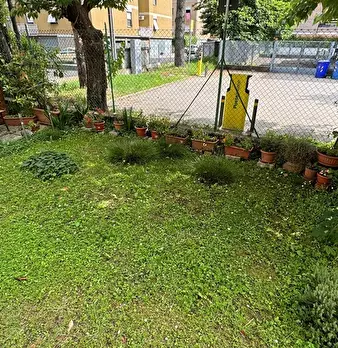 Foto annuncio 39