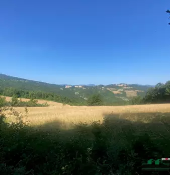 Foto annuncio 4