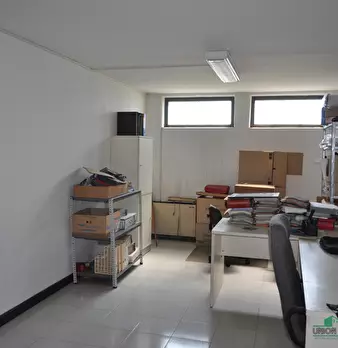 Foto annuncio 10