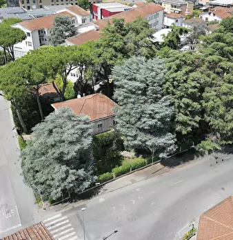 Foto annuncio 41
