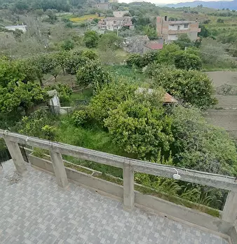 Foto annuncio 11