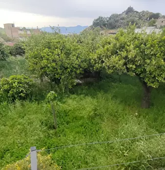 Foto annuncio 39