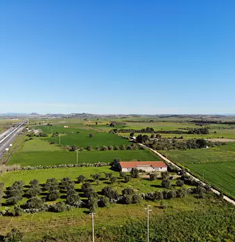 Foto annuncio 3