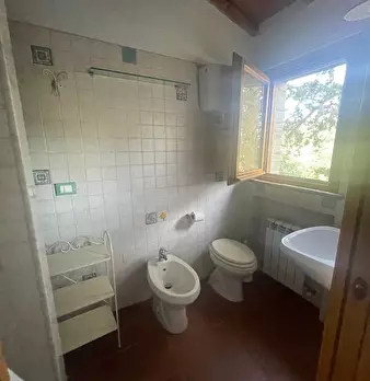 Foto annuncio 11