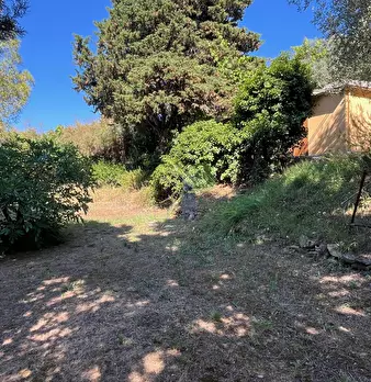 Foto annuncio 11