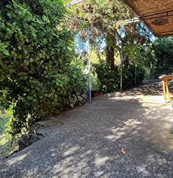 Foto annuncio 10