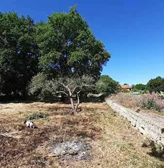 Foto annuncio 34