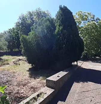 Foto annuncio 28