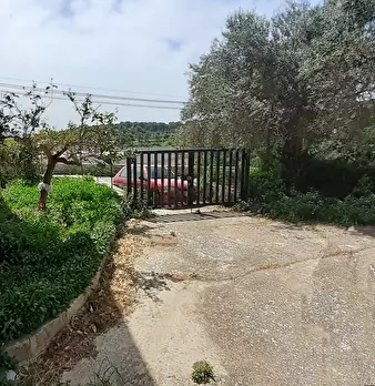 Foto annuncio 7