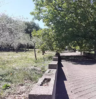 Foto annuncio 45