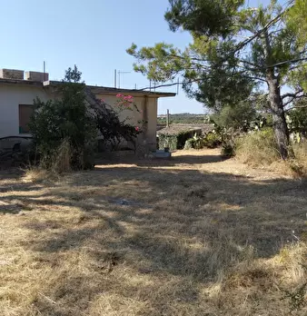 Foto annuncio 15