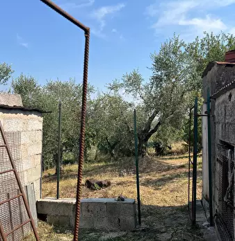 Foto annuncio 2