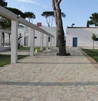 Foto annuncio 9
