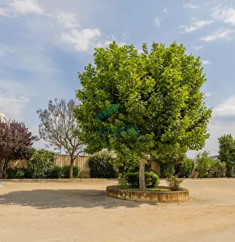 Foto annuncio 10