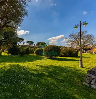 Foto annuncio 47