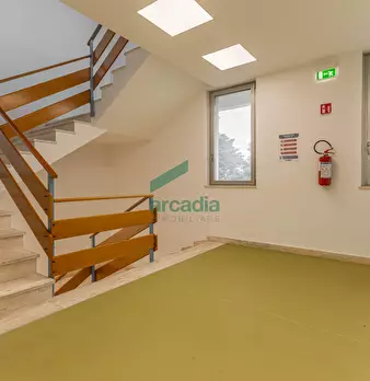 Foto annuncio 64