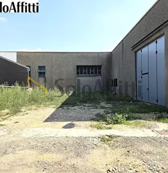 Foto annuncio 5