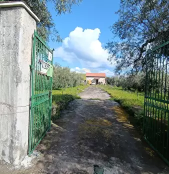 Foto annuncio 1