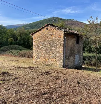 Foto annuncio 4