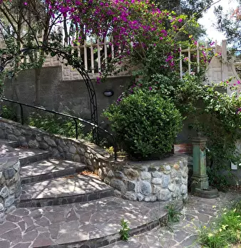 Foto annuncio 11