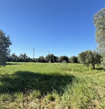Foto annuncio 15
