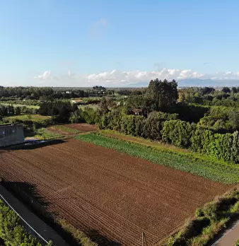 Foto annuncio 5