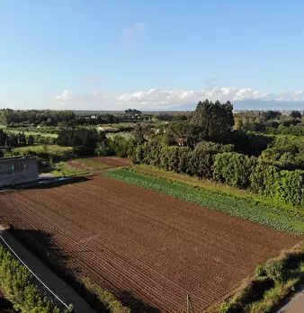 Foto annuncio 6