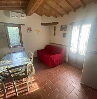 Foto annuncio 7