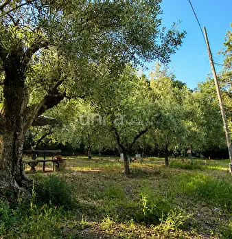 Foto annuncio 5