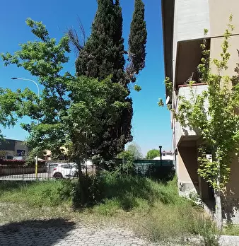 Foto annuncio 43