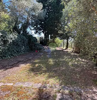 Foto annuncio 19